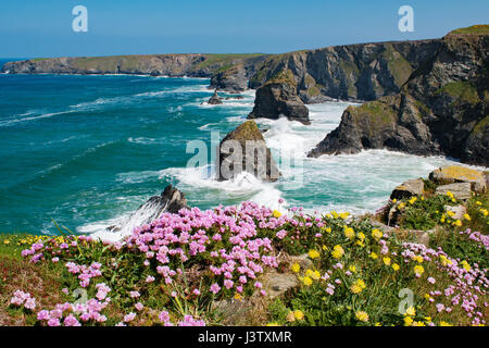 Bedruthan Schritte eine Felsformation auf der nördlichen Küste von Cornwall, England, UK Stockfoto