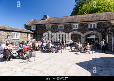 Viele Menschen vor dem Café im Clotworthy Haus, Antrim Castle Gardens, Nordirland, an einem sonnigen Tag. Stockfoto