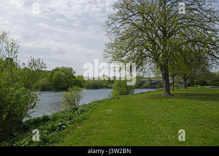 Kelso (Rennies Brücke), Fluss Tweed, Kelso, Scottish Borders, Schottland Stockfoto