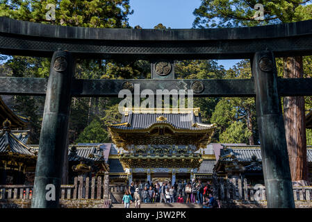 Torii Tor mit Yomeimon im Hintergrund. Toshogu Schrein Stockfoto