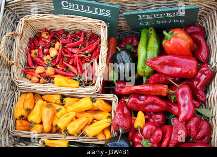 Chilischoten auf dem Bauernmarkt Stockfoto