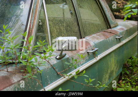 Detail eines rostigen grüne Autos von der Seite der Straße verlassen Stockfoto