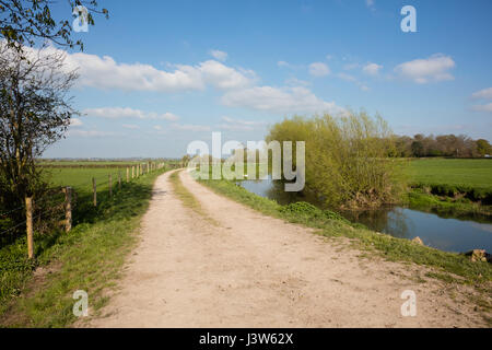 Fluß Parrett und Leinpfad durchschneiden Ackerland in Somerset, England Stockfoto