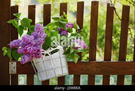Lila Blumen im Korb Holz Gartenzaun hängen. Bouquet von lila Verzierung verwittert Holzzaun. Stockfoto