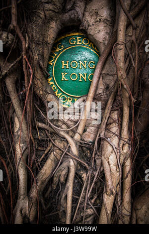 Hong Kong, Hong Kong SAR, China A Banyan Bäume Wurzeln verschlingen die Plakette für die King George V Memorial Park in Hospital Straße San Yin Wortspiel © Jayne Russell Stockfoto