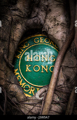 Hong Kong, Hong Kong SAR, China A Banyan Bäume Wurzeln verschlingen die Plakette für die King George V Memorial Park in Hospital Straße San Yin Wortspiel © Jayne Russell Stockfoto