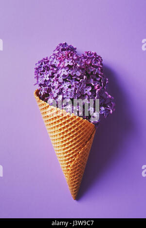 Lila lila Blüten in einem Wafer-Eiscreme-Kegel. Blumenstilleben. Stockfoto