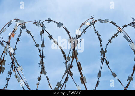 Rostiger Stacheldraht mit klingen, die in einer Spirale gegen den blauen Himmel verdreht Stockfoto