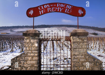 VINEYARD BURGUND Winter Schnee rustikalen Eingangstor und Zeichen zu Henri Remy Grand Cru Clos de la Roche Weinberg, Morey-St-Denis, Côte d'Or, Frankreich. Stockfoto