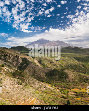 Blick auf den Teide-Vulkan von Puerto de Erjos, Teneriffa, mit spektakulären Makrelen-Wolkenformationen und zahlreichen jungen monogenetischen Vulkankegeln Stockfoto