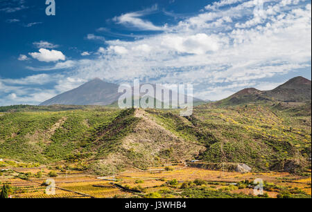 Blick auf den Teide-Vulkan von Puerto de Erjos, Teneriffa, mit spektakulären Makrelen-Wolkenformationen und zahlreichen jungen monogenetischen Vulkankegeln Stockfoto