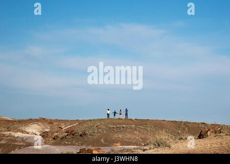 Eine Familie besucht die Crystal Waldfläche des Petrified Forest National Park. Stockfoto