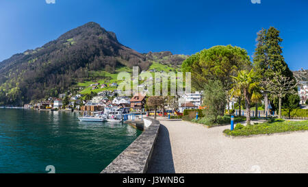 Blick auf Rigi Berg aus dem Dorf Gersau, unterhalb der Berge am Ufer des Vierwaldstättersees (Vierwaldstättersee) in der Schweiz. Stockfoto