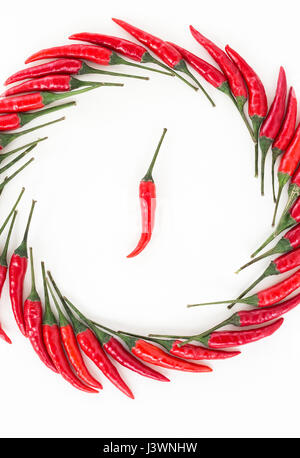 schöne dekorative Kreis hautnah rote scharfe Chilischoten, beliebte Gewürze Konzept - Muster besteht aus den Schoten von roter Paprika, in der Mitte ist eine Pfeffer-Pod, Draufsicht, flach lag. Stockfoto
