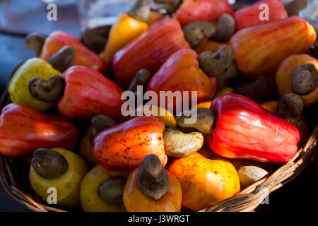 Cashew-Nüssen, brasilianische Märkte bieten eine große Variation von Obst und Gemüse Stockfoto