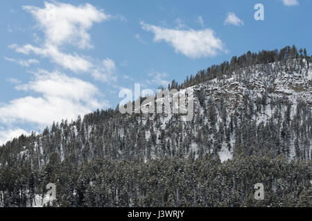 Holz bedeckt Berg / Hügel im Winter, Bergwald, montane Wald, spuken für viele Tiere, unter blauen Himmel Grand Teton National Park. Stockfoto