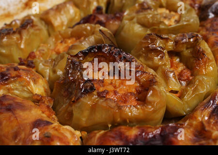 Kohlrouladen und gefüllten Paprika Stockfoto