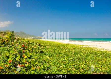 Sehen Sie sich auf natürliche Strand von Arrecifes im Nationalpark Tayrona in Kolumbien Stockfoto