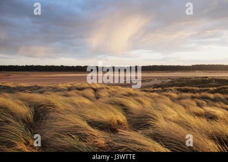 Sonnenuntergang auf Sanddünen am Holkham Beach, Wells-Next-The-Sea, Norfolk, England UK Stockfoto