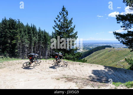 Christchurch, Neuseeland. 19. Dezember 2016. Christchurch, New Zealand - 19. Dezember 2016 - zwei Mountainbiker fahren auf eine downhill-Strecke im Christchurch Erlebnispark am 19. Dezember 2016 in Christchurch, Neuseeland. Christchurch Adventure Park ist der größte Mountainbike-Park in der südlichen Hemisphäre und wird voraussichtlich eine wichtige touristische Attraktion. Am 21. Dezember wird es für die Öffentlichkeit zugänglich. | Nutzung weltweit Credit: Dpa/Alamy Live-Nachrichten Stockfoto