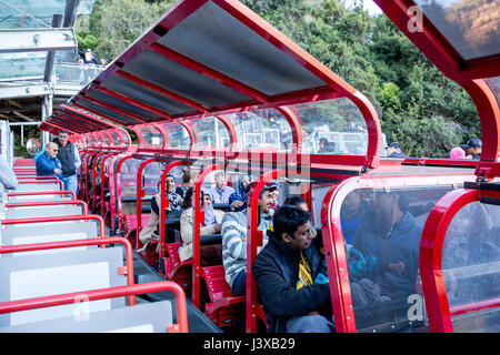 Blue Mountains Nationalpark, Western Sydney, Australien Stockfoto