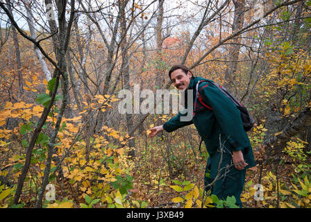 Jungen Freiwilligen Ranger in den Riding Mountain Nationalpark, Manitoba, Kanada Stockfoto