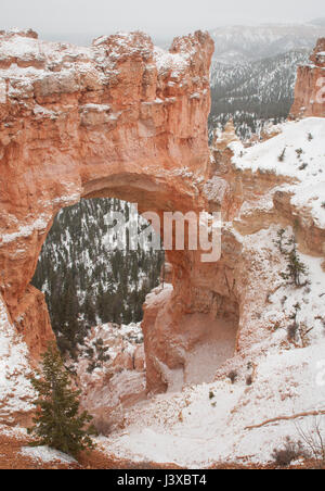 Natural Bridge Arch in Bryce Canyon Nationalpark (Utah, USA), mit Schnee bedeckt. Stockfoto