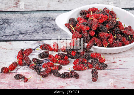 Frische schwarze und rote Reife Maulbeeren halten aus dem Garten auf Holz Stockfoto