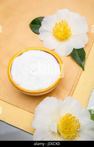 Schüssel mit Lotion, umgeben von weißen Rugosa Rose blüht in einer Studioumgebung Stockfoto