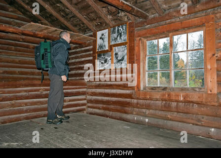 Im Inneren der Kabine graue Eule in den Riding Mountain Nationalpark, Manitoba, Kanada Stockfoto