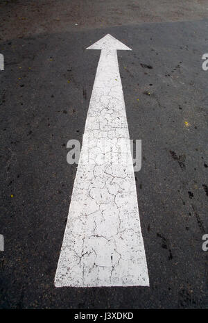 Der Pfeil auf dem Asphalt zeigen die Richtung der Bewegung. Straßenmarkierung. Stockfoto