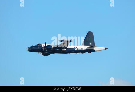 US Navy Lockheed P2V-7 Neptun am Wings over Illawarra 2017 Airshow, Albion Park, NSW, Australien Stockfoto