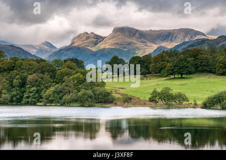 LAKE DISTRICT LANGDALE PIKES, Vereinigtes Königreich - 6. September 2014: Blick auf die Landale Hechte im englischen Lake District von Loughrigg Tarn gesehen. Stockfoto