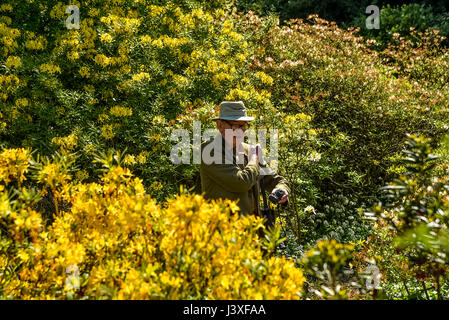 Viscount Ashbrook in seinem Garten in Arley HAll in der Nähe von Warrington. Stockfoto