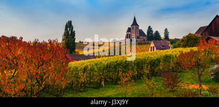 Panoramablick auf die hügelige Landschaft mit Herbst Reben, Hunawihr, Elsass, Frankreich Stockfoto