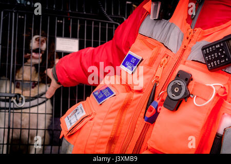 Das Team von Freiwilligen sind im Tiefland Such- und Rettungshunde in Aktion in West Sussex. Stockfoto