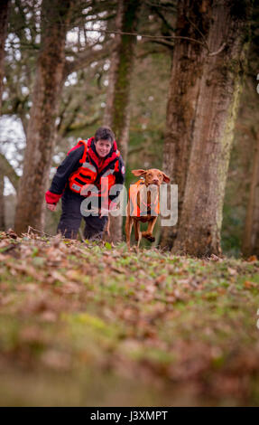 Das Team von Freiwilligen sind im Tiefland Such- und Rettungshunde in Aktion in West Sussex. Stockfoto