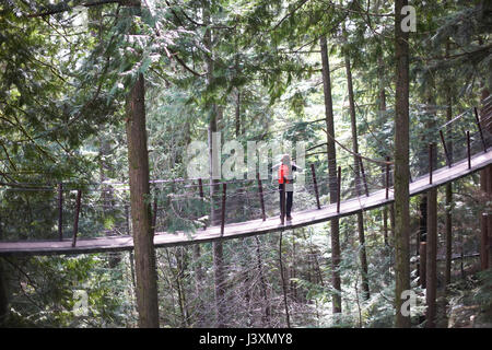 Frau gehen über Capilano Suspension Bridge, Rückansicht, Vancouver, Kanada Stockfoto