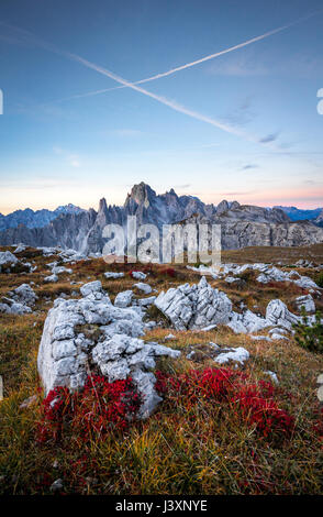 Sonnenuntergang Landschaft in den italienischen Dolomiten. Leuchtend rote Alpenblumen in den Vordergrund und Monte Cristallo im Hintergrund. Stockfoto