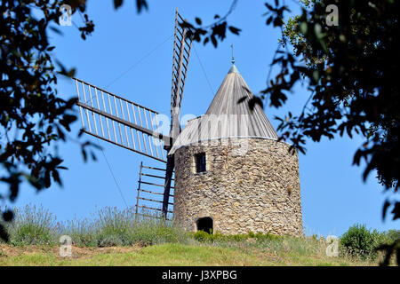 Windmühle mit Laub Baum in Grimaud, Gemeinde im Département Var in der Region Provence-Alpes-Côte d ' Azur im Südosten Frankreichs Stockfoto