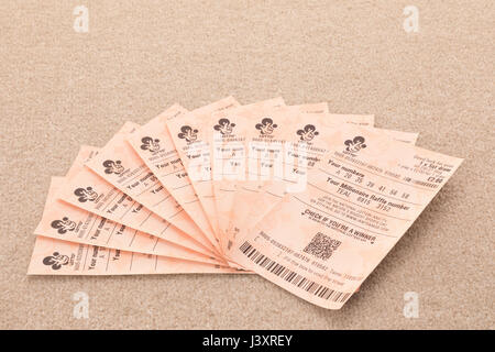 Lotterie-tickets Stockfoto