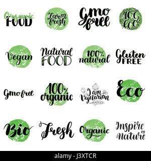 Öko, Bio, Bio, Gluten frei, Naturkost, Vegan-Schriftzug. Moderne Hand gezeichnet ökologische Symbole und Abzeichen gegen grünen Kreis. Bürste Kalligraphie-kreativ-Set. Vektor-Illustration. Stock Vektor