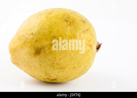 Guave (Guave Guajava) in weißen Hintergrund isoliert Stockfoto