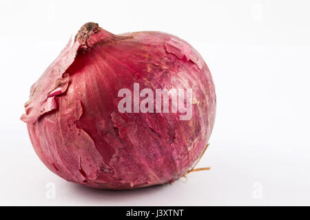 Rote Birne Zwiebel (Allium Cepa) in weißen Hintergrund isoliert Stockfoto