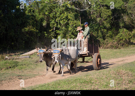 Kuba-2017 Stockfoto