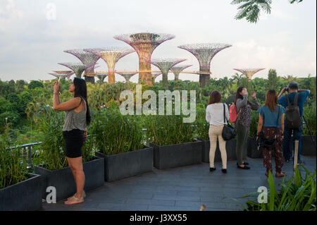 05.05.2017, Singapur, Republik Singapur, Asien - Touristen fotografieren die Supertrees in den Gärten von der Bucht Freizeitpark. Stockfoto