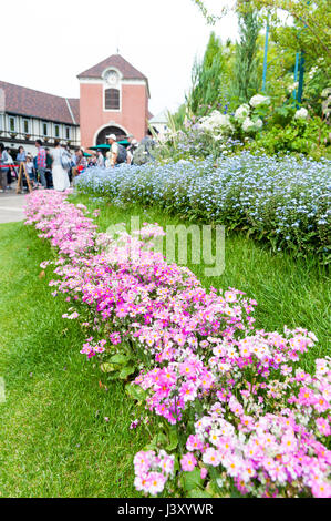 Kobe, Japan - April 2016: Rosa Blüten an Nunobiki Kräutergarten am Berg Rokko in Kobe, Japan Stockfoto