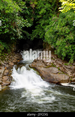 Kleiner Wasserfall in den Akaka Falls State Park auf Big Island, Hawaii, USA. Stockfoto