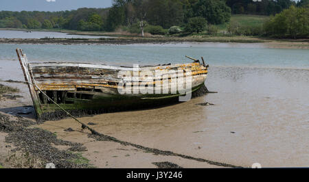 Verlassener und Fäulnis Holzboot haben in Schlamm bei Ebbe auf dem River Deben in Woodbridge Suffolk England versenkt. Stockfoto