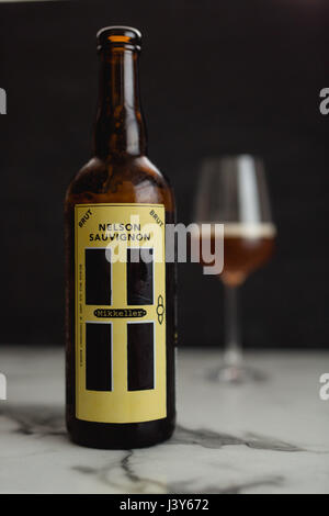 Mikkeller Nelson Sauvignon Brut belgischen Strong Ale reift in weißen Weinfässer mit einem Glas Bier Stockfoto